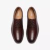 Scarpe Oxford da uomo Eldredge in pelle liscia marrone scuro | Clark’s