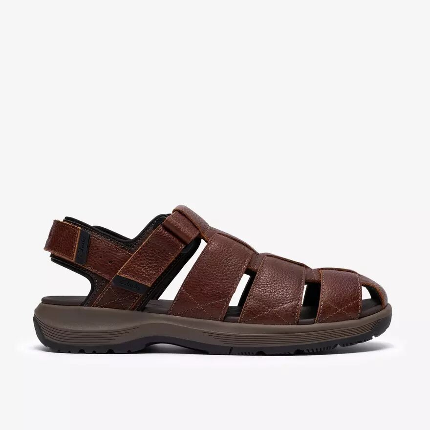 Uomo Guideview Cove Pelle marrone scuro Nessuno USA Uomo Guideview Cove Pelle marrone scuro Nessuno USA